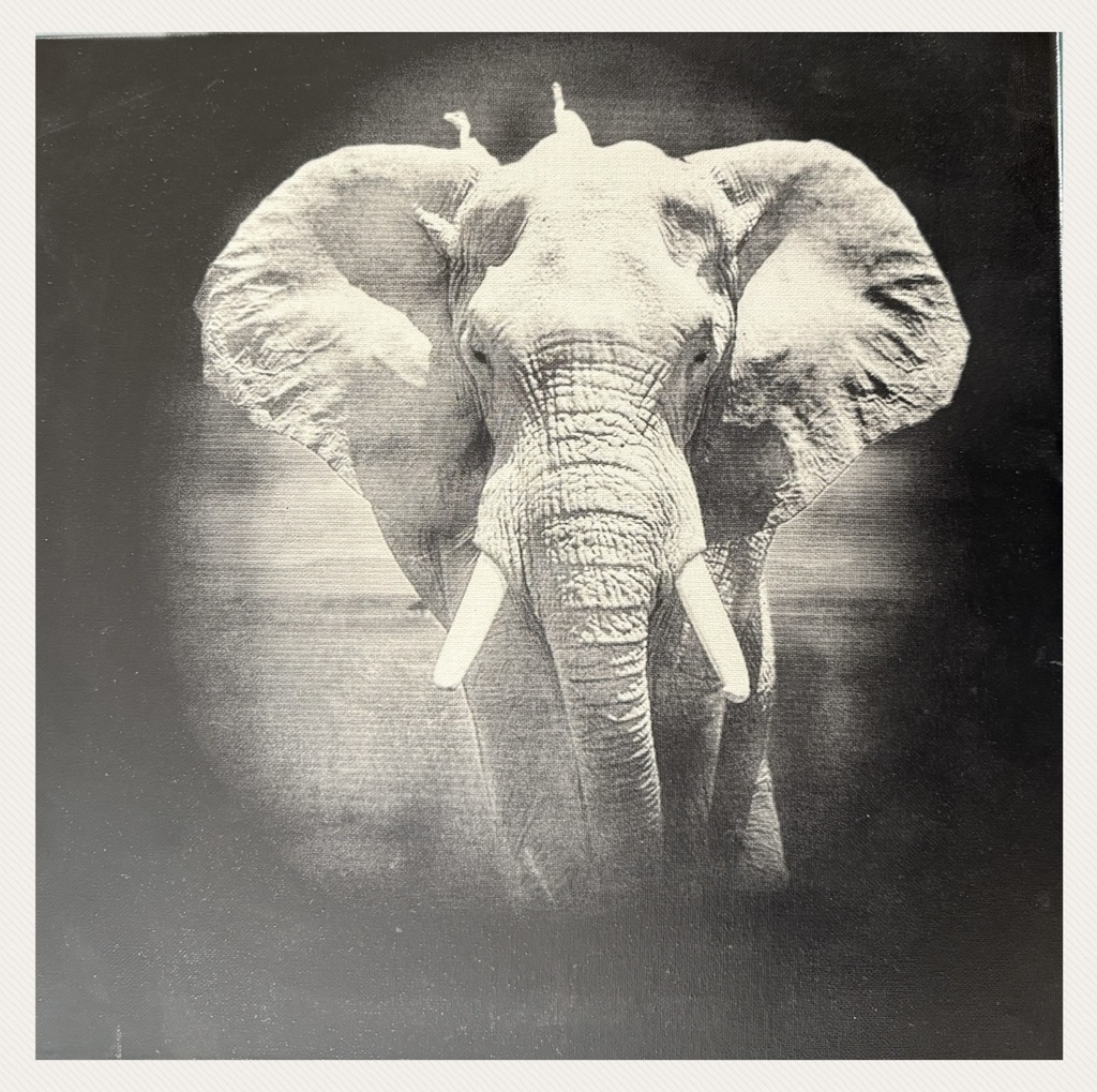 Gravure sur toile - Eléphant